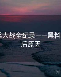 即时粉丝大战全纪录——黑料网app背后原因