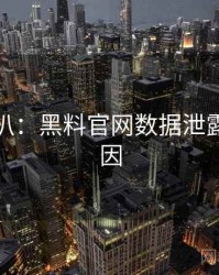 独家深扒：黑料官网数据泄露背后原因