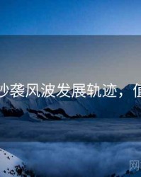 麻豆网抄袭风波发展轨迹，值得关注