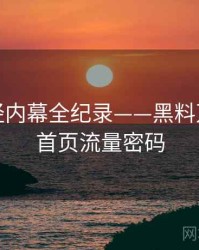 最新财经内幕全纪录——黑料万里长征首页流量密码