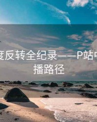 独家热度反转全纪录——P站中文版传播路径